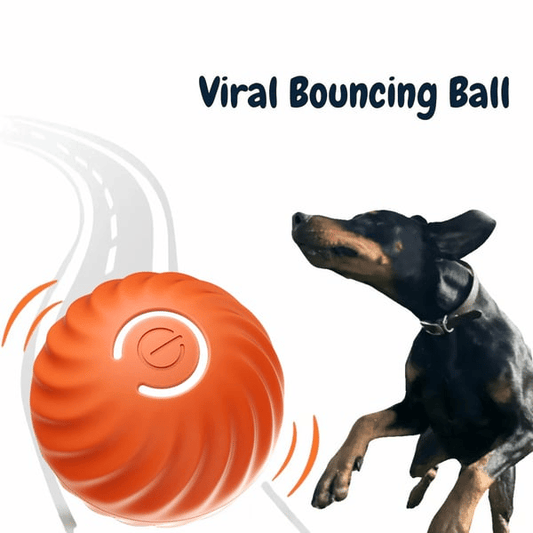 🐕‍🦺FurryDise™|💎 Durable, Safe & Smart – 🎯🐾The Ultimate Dog Entertainment Ball!