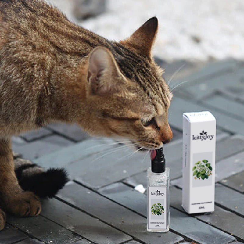 FurryDise™|Herbal Cat Joy Spray – Turn Any Spot into Your Cat’s Favorite Place Instantly!