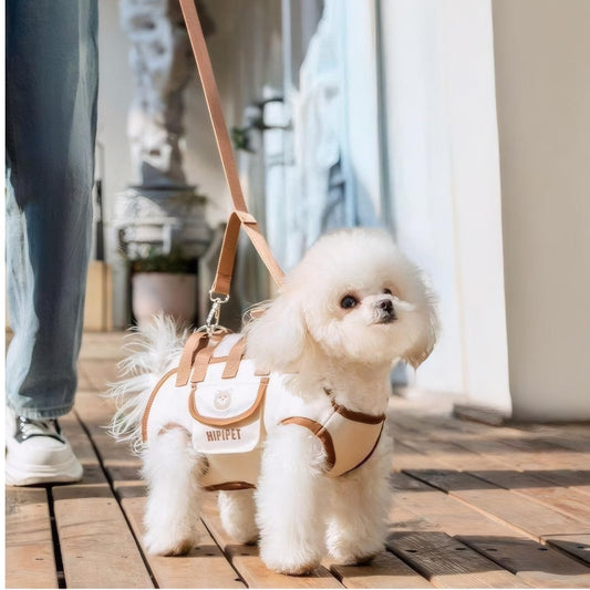 FurryDise™ ComfortRide Pet Travel Backpack