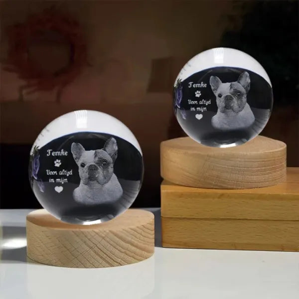 Custom 3D Photo Crystal Ball