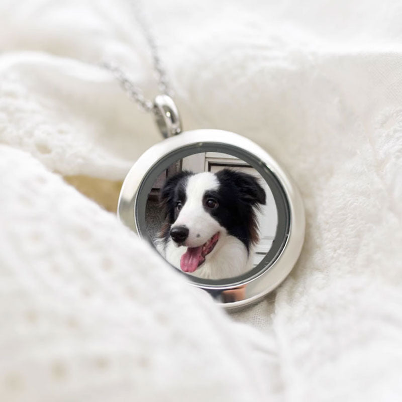Memory of My Pet Personalized Urn Necklace with Photo