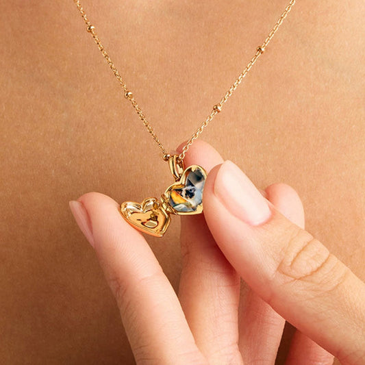 Heart Pet Memorial Gift Photo Locket Necklace