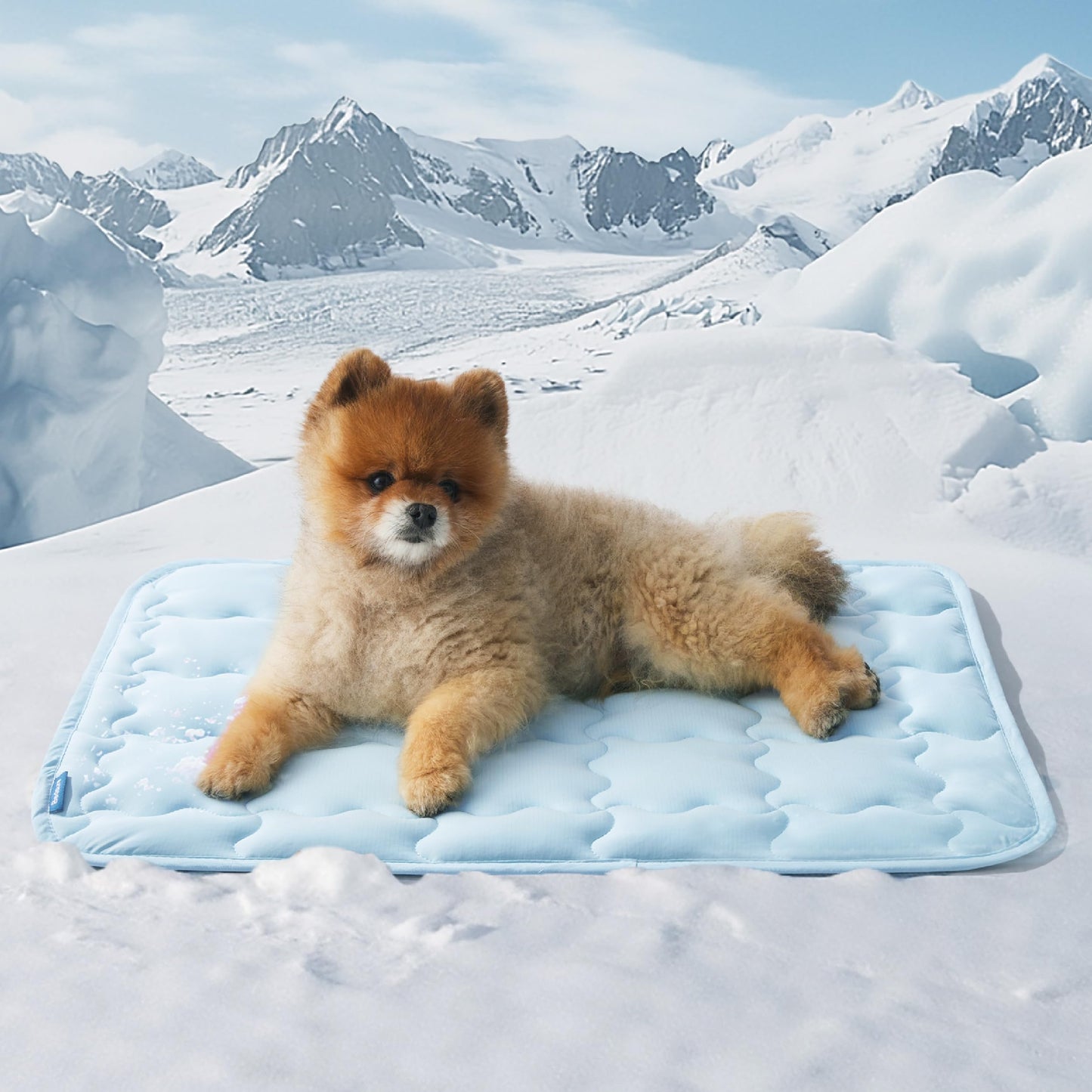 CoolNest™ Arc-Chill Pet Mat