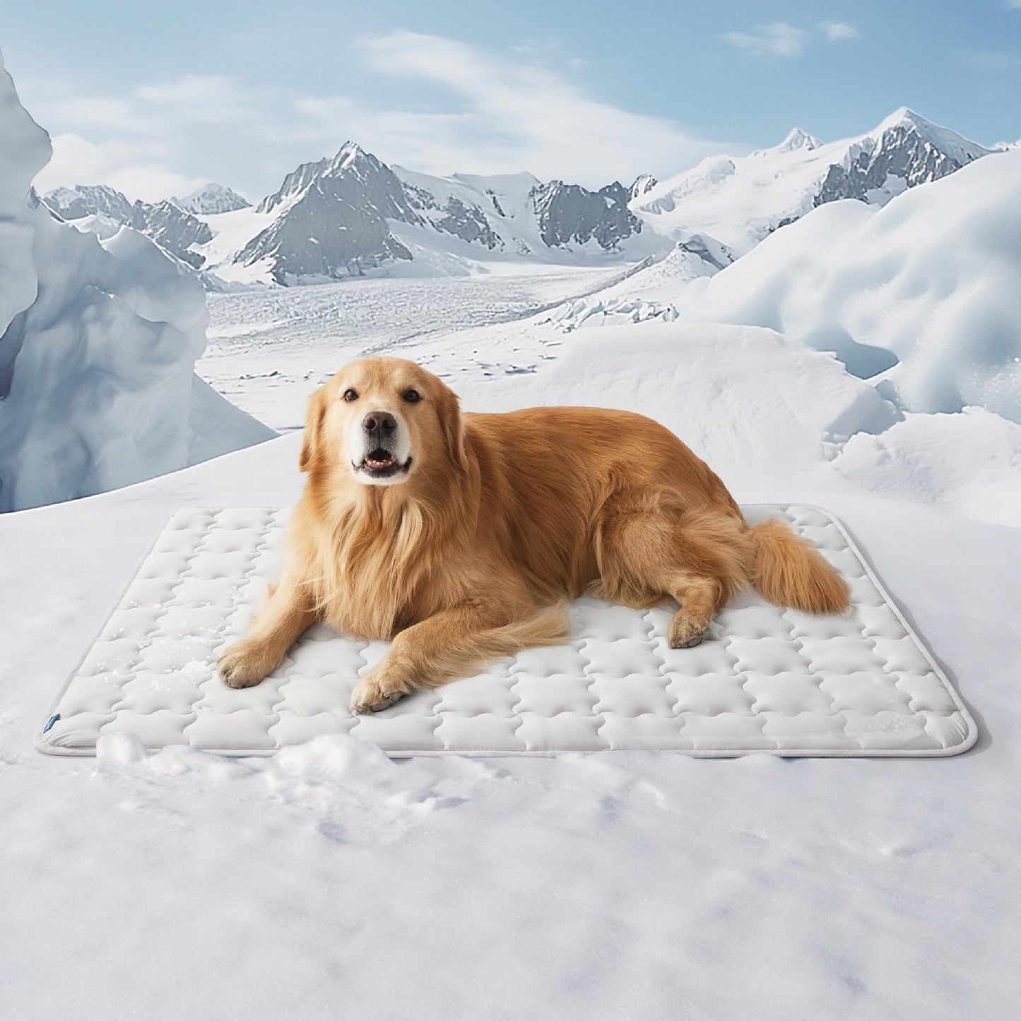 CoolNest™ Arc-Chill Pet Mat