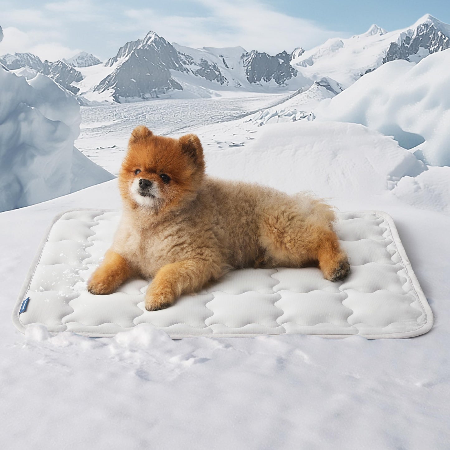 CoolNest™ Arc-Chill Pet Mat