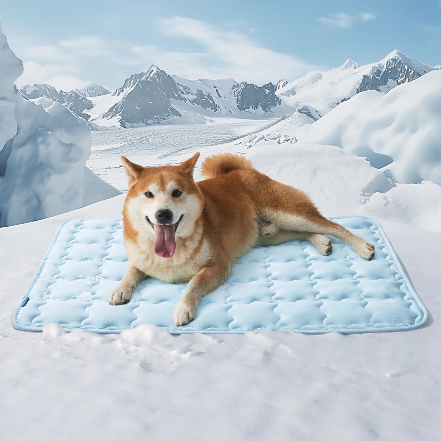 CoolNest™ Arc-Chill Pet Mat