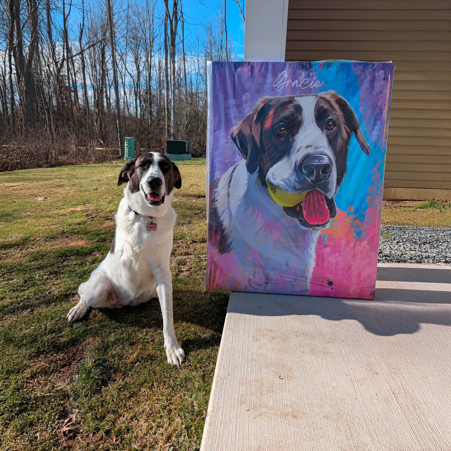 Custom Pet Portrait - Abstract Style