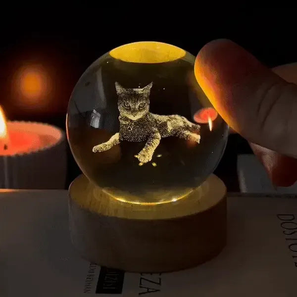 Custom 3D Photo Crystal Ball