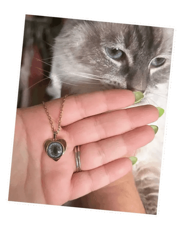 FurryDise-Pet Eye Necklace