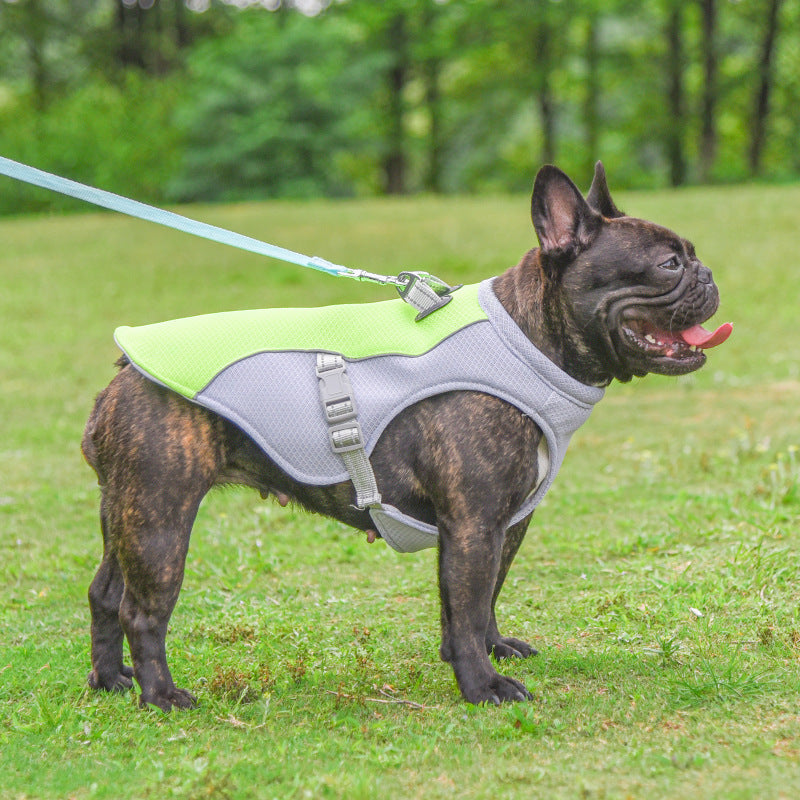 FurryDise-Dog Cooling Vest