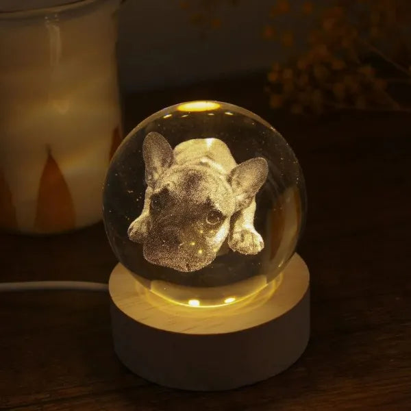 Custom 3D Photo Crystal Ball