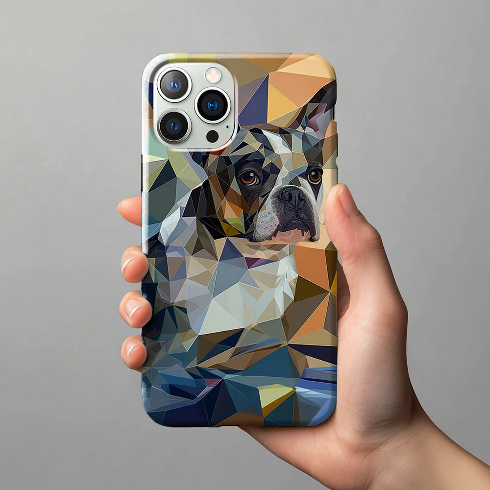 FurryDise-Cubism Art-Geometry Phone Case