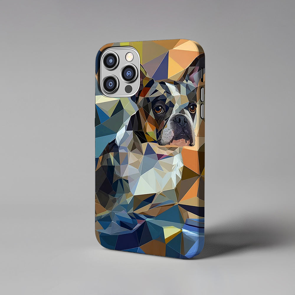 FurryDise-Cubism Art-Geometry Phone Case