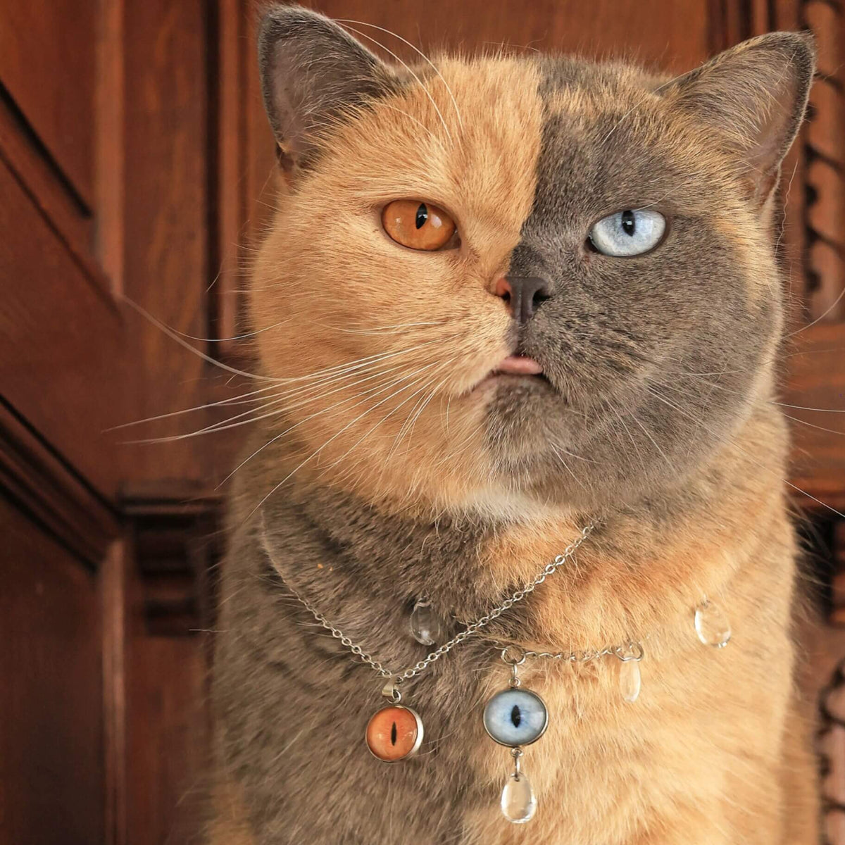 FurryDise-Pet Eye Necklace